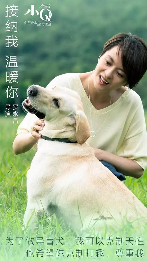 韩国国立韩京大学文凭毕业证怎么买高仿